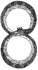 The snake eating its own tail simply represents the recreation of life through death by the Universe. It is interpreted as some kind of a rebirth of the dead reaching an immortality of sorts. Therefore, it is assumed that the infinity symbol was derived from the original symbol of ouroboros. - mythologian.net