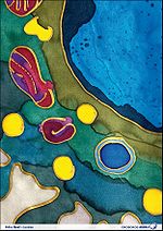 MiPArt - Mitochondria and Art