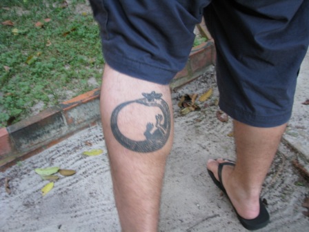 An Ouroboros tattoo from Sao Paulo walking in Manaus - observed during the O2k-Workshop July 2015.