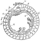 Ouroboros was and is the name for the Great World Serpent, encircling the earth. The word 'Ouroboros' is really a term that describes a similar symbol that has been cross-pollinated from many different cultures. From "Ouroboros," there is the serpent or dragon gnawing at its own tail. The symbolic connotation from this owes to the returning cyclical nature of the seasons; the oscillations of the night sky; self-fecundation; disintegration and re-integration; truth and cognition complete; the Androgyne; the primeval waters; the potential before the spark of creation; the undifferentiated; the Totality; primordial unity; self-sufficiency, and the idea of the beginning and the end as being a continuous unending principle. It represents the conflict of life as well in that life comes out of life and death. 'My end is my beginning.' In a sense life feeds off itself, thus there are good and bad connotations that can be drawn. It is a single image with the entire actions of a life cycle - it begets, weds, impregnates, and slays itself, but in a cyclical sense, rather than linear. Thus, it fashions our lives to a totality more towards what it may REALLY be - a series of movements that repeat. "As Above, So Below" - we are born from nature, and we mirror it because it is what man wholly is a part of. (Copyright © 1997. John N. Harris, M.A.(CMNS))