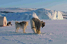 Greenland - Thule 2012