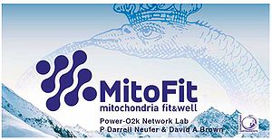 MitoFit Banner NeuferPD.JPG