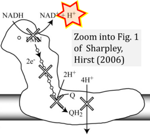 Sharpley 2006 J Biol Chem CORRECTION.png