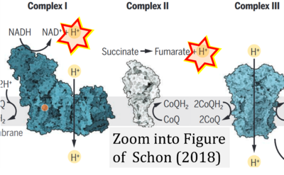 Schon 2018 Science CORRECTION.png
