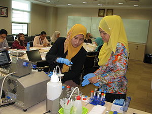 Hands-on by the participants