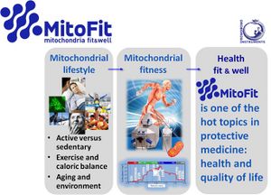 MitoFit-protective medicine.jpg