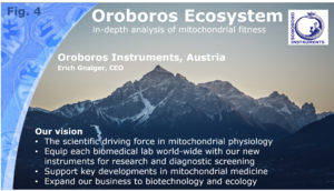Oroboros Ecosystem vision.png
