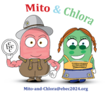 Mito-and-Chlora EBEC.png