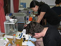 Verena Laner assisted Andrew Murray in the Kathamandu Laboratory